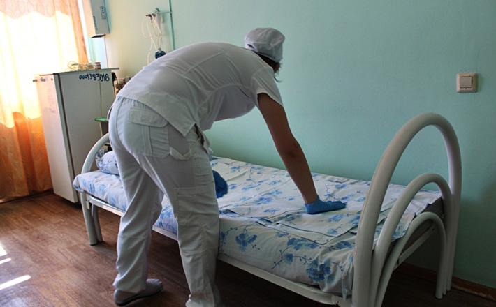 Фото предоставлено штабом студотрядов Новосибирской области