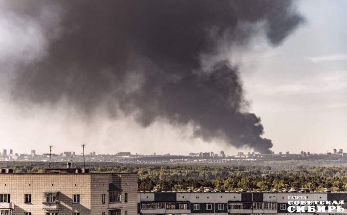 Фото: Алексей ТАНЮШИН
