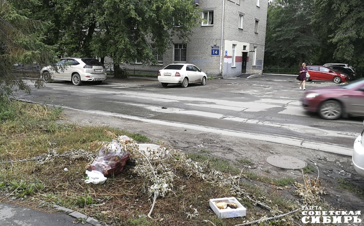 Фото: Эльвира Новикова