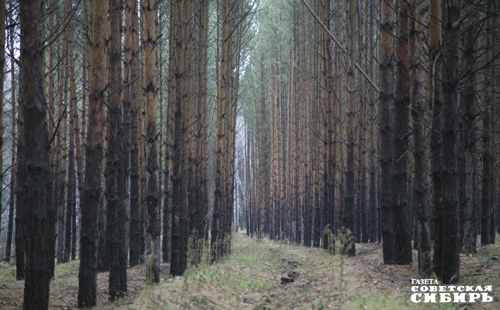 002-07-03_M.jpg