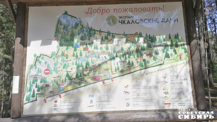 032-06-05_M.jpg