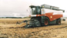 163-32.jpg
