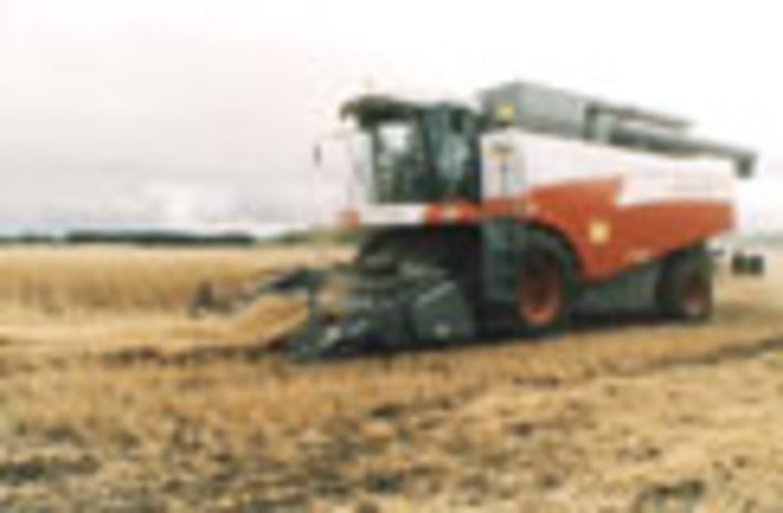 163-32.jpg