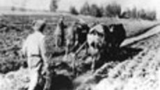 164-03.jpg