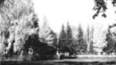 164-06.jpg