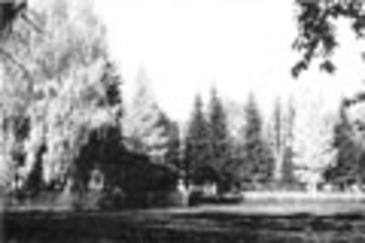 164-06.jpg