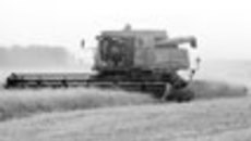 165-01.jpg