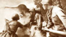 165-30.jpg