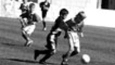 167-01.jpg