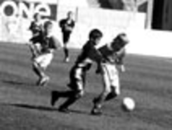 167-01.jpg