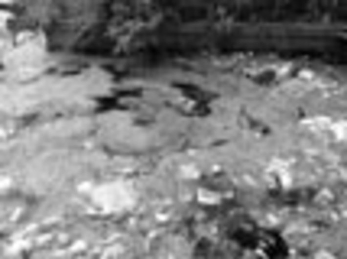 169-04.jpg
