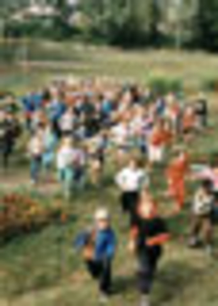 173-41.jpg