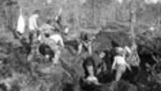 180-26.jpg