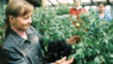 180-15.jpg
