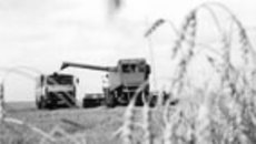 180-02.jpg