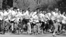 182-07.jpg
