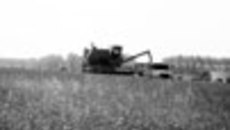 182-03.jpg
