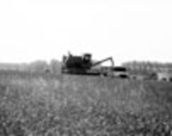 182-03.jpg