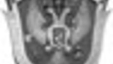 184-13.jpg