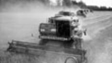 193-08.jpg