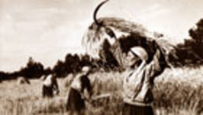 198-07.jpg