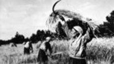 198-07.jpg