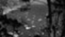 200-37.jpg