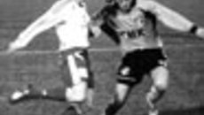 201-10.jpg