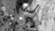 203-46.jpg