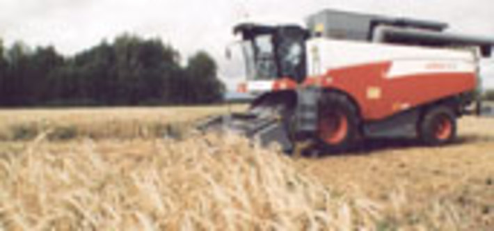 203-42.jpg