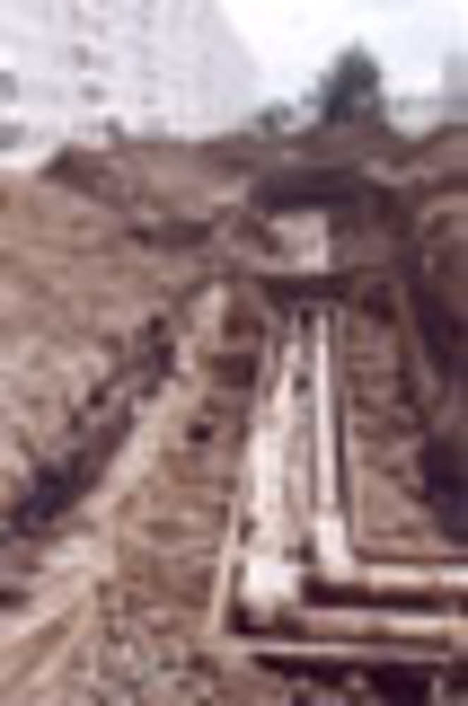 203-14.jpg
