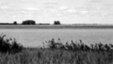 204-05.jpg