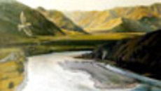 008-54.jpg