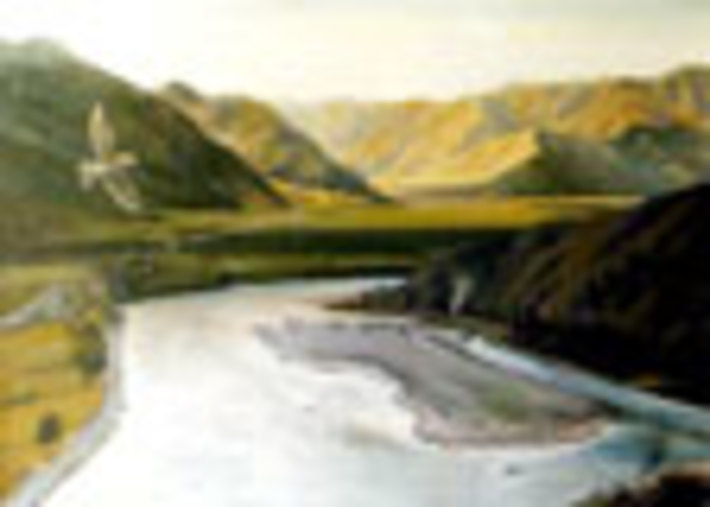 008-54.jpg