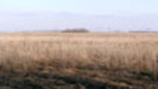 008-29.jpg