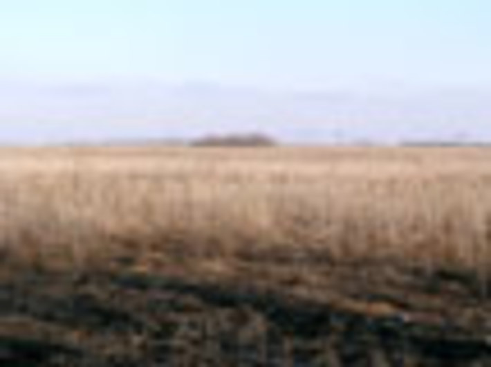 008-29.jpg