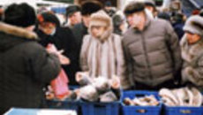 008-12.jpg