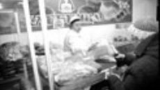 010-04.jpg