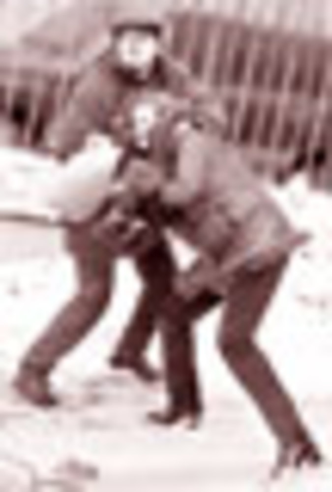 013-31.jpg