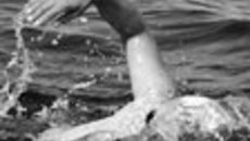 016-04.jpg