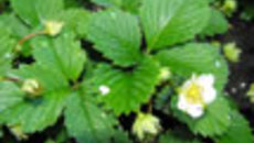 018-47.jpg