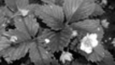 018-47.jpg