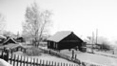 019-06.jpg