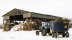 025-03.jpg