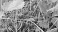 028-48.jpg