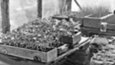 028-45.jpg