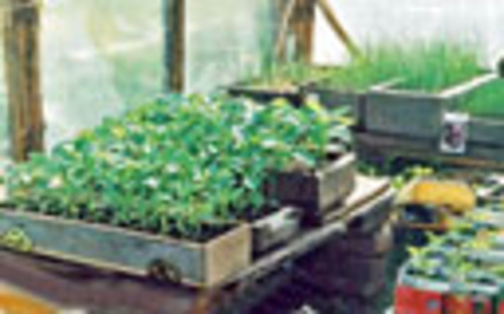 028-45.jpg