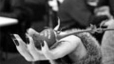 028-28.jpg