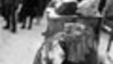 029-09.jpg