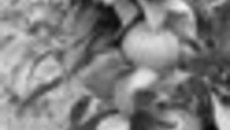 033-40.jpg